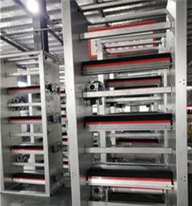 攜手創(chuàng)新，智贏未來 自動(dòng)化蛋雞養(yǎng)殖設(shè)備技術(shù)咨詢與生產(chǎn)合作指南